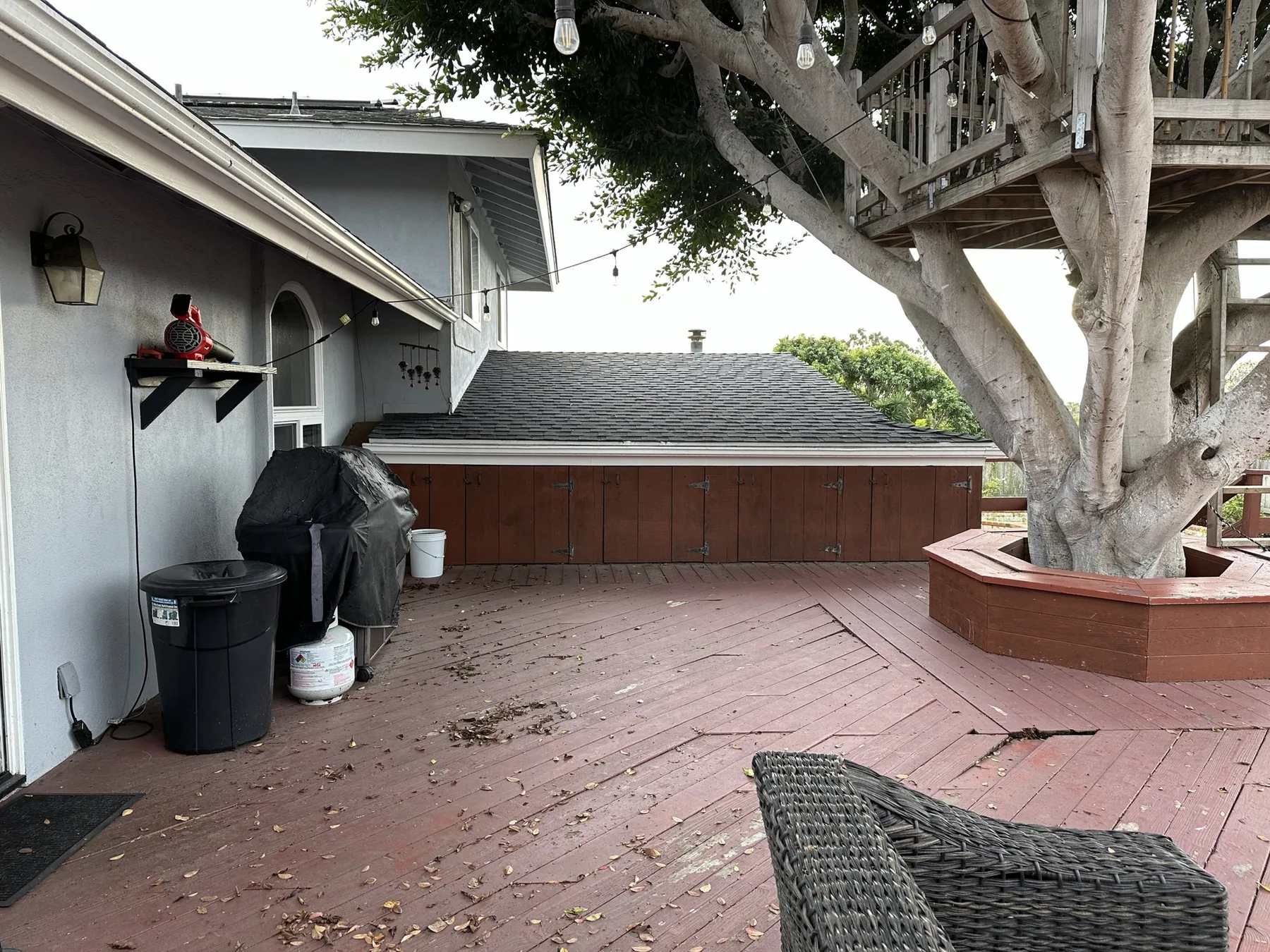 Old deck and tree before the Basswood renovation.