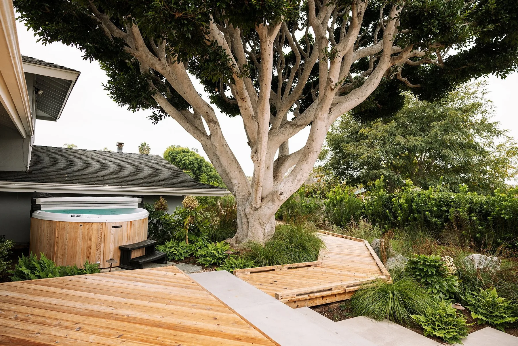 Cedar footbridge and deck beside the retained ficus.