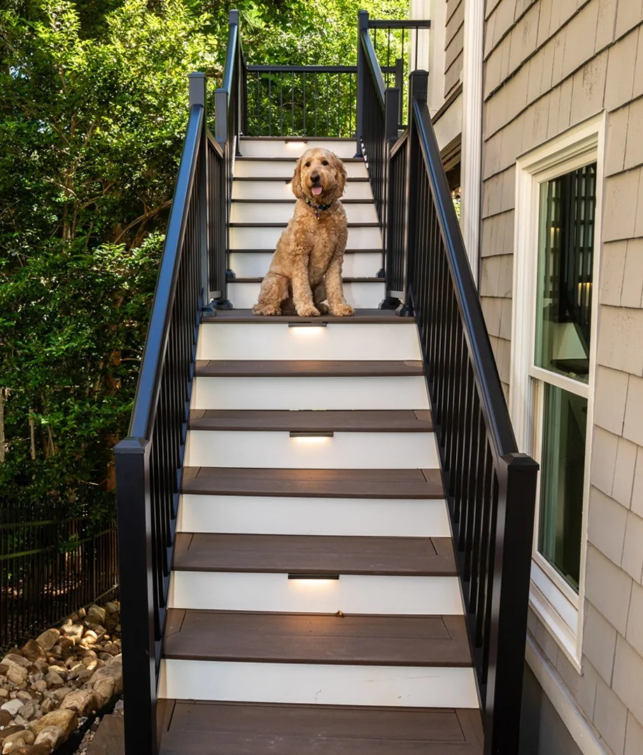 Dog sitting on new stairs beside the house.