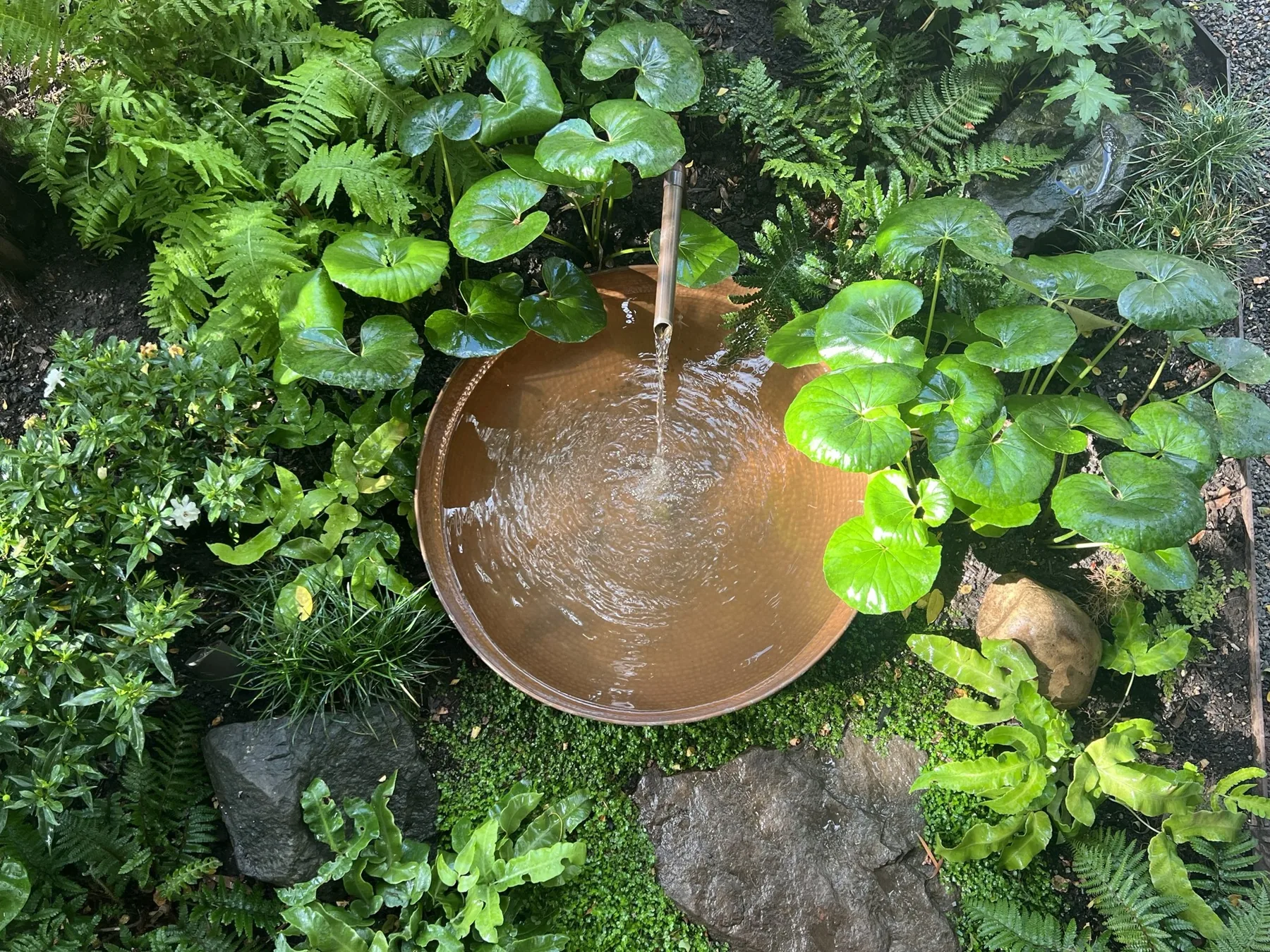 Hammered copper water feature surrounded by foliage.