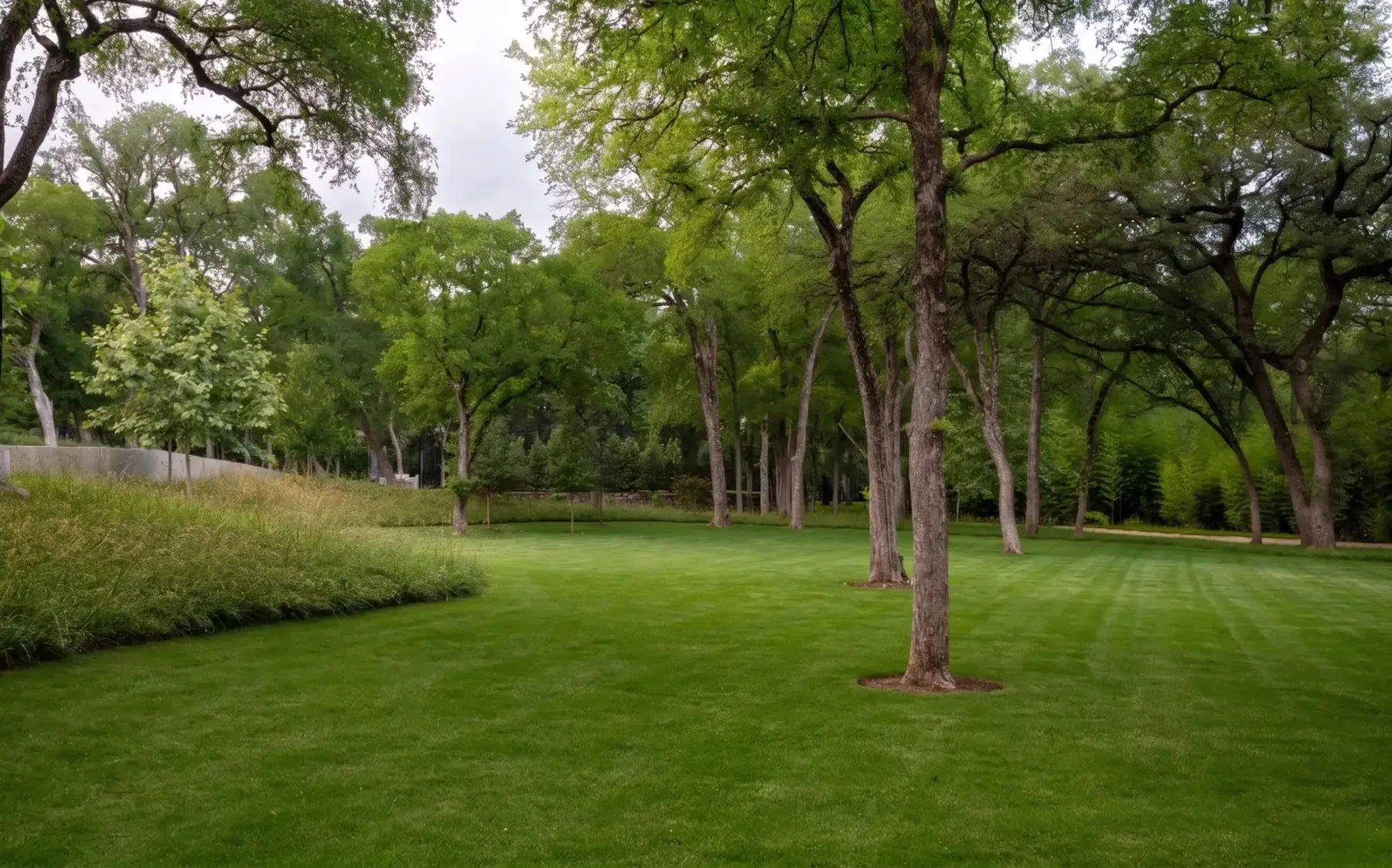 Mown lawn beside meadow planting and trees.