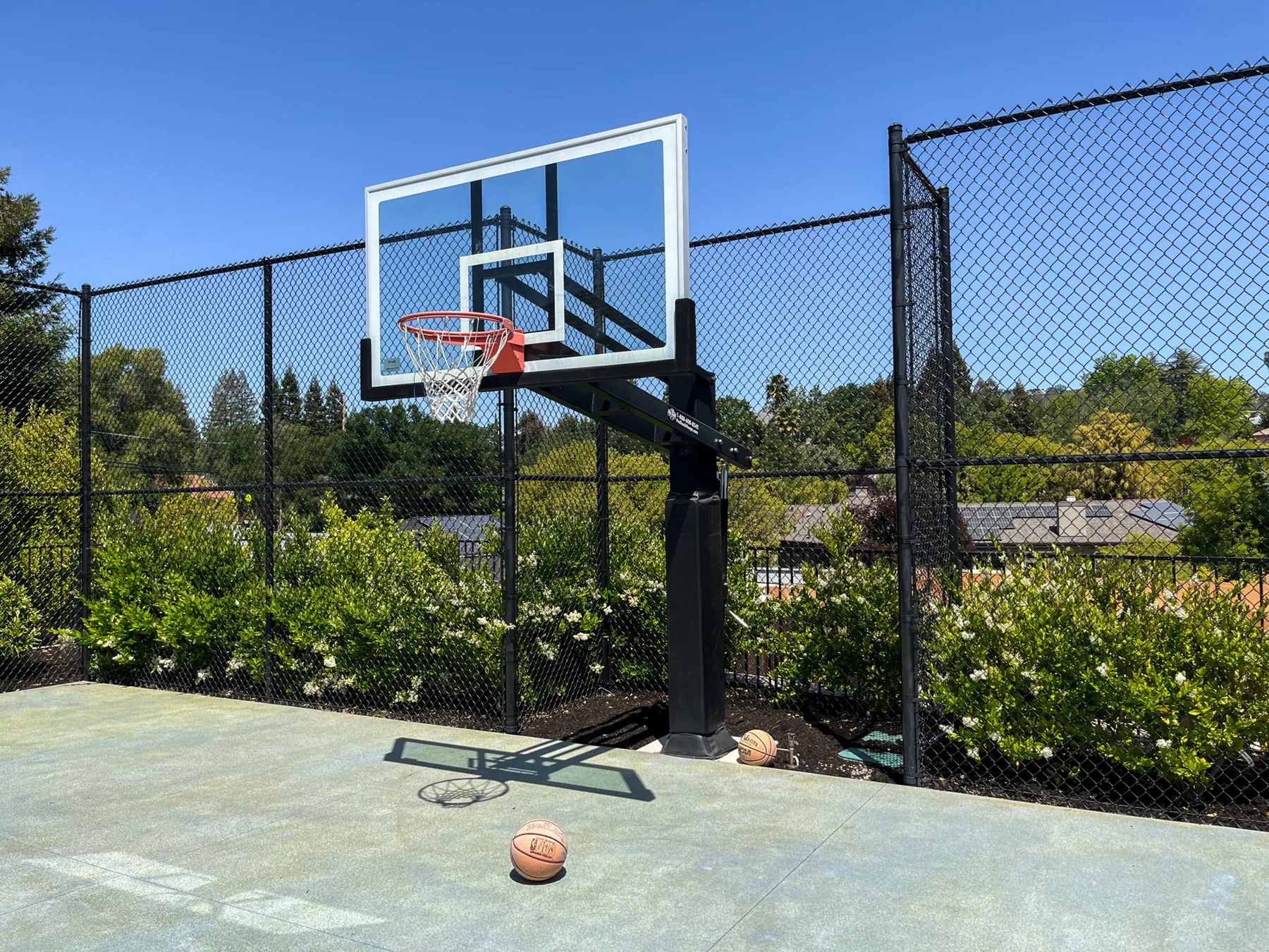 Basketball court screened by planting.