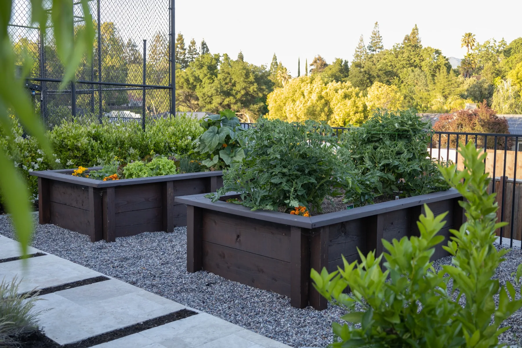 Raised vegetable beds beside paved paths.