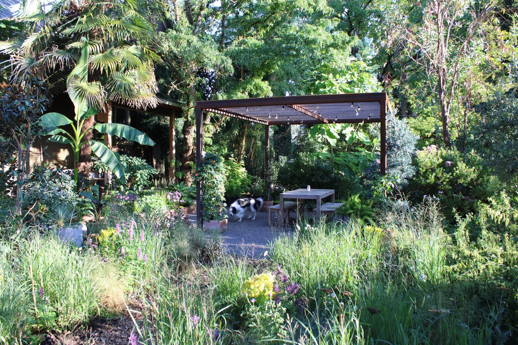 Steel pergola and dining table within the Humboldt Garden.